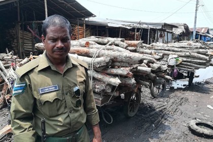 কর্তন নিষিদ্ধ সুন্দরী কাঠ জব্দ