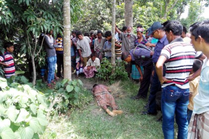 মেহেরপুরে মাঠ থেকে কৃষকের লাশ উদ্ধার