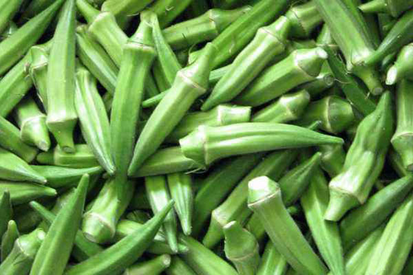 ঢেঁড়স খাওয়ার ৫টি স্বাস্থ্য উপকারিতা!