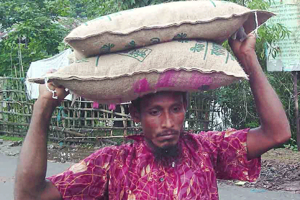 শরণখোলায় বিএডিসি’র ৪০০ টাকার বীজ ৮০০ টাকায় বিক্রি
