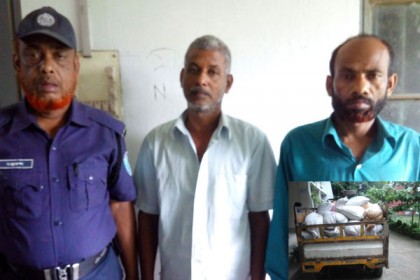 ঘাটাইলে ভিজিএফ'র ৪৩ বস্তা গমসহ আটক ২