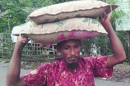 শরণখোলায় বিএডিসি’র ৪০০ টাকার বীজ ৮০০ টাকায় বিক্রি