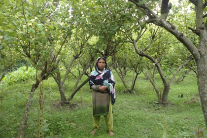 ‘কুল’ চাষ করে স্বাবলম্বী মনজু বেগম