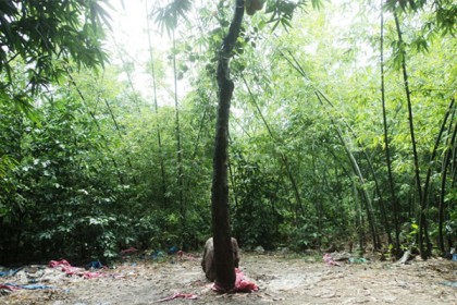 খোলা আকাশের নীচে ১০ বছর ধরে শিকলবন্দী যুবক