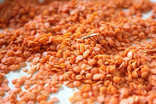 ত্বকের যত্নে মসুর ডাল