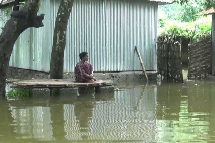 তিস্তার পানিতে প্লাবিত নীলফামারীর ১০ ইউনিয়ন