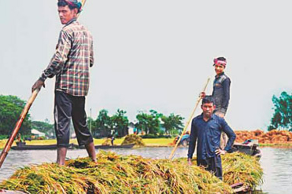 সুনামগঞ্জে সহায়তা কমছে, হাহাকার বাড়ছে