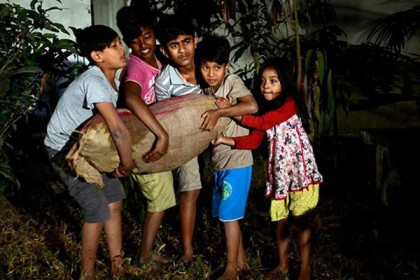 'জল শ্যাওলা' সেন্সরে 