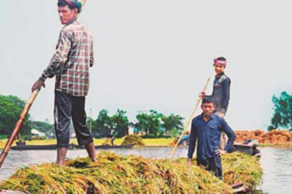 সুনামগঞ্জে সহায়তা কমছে, হাহাকার বাড়ছে