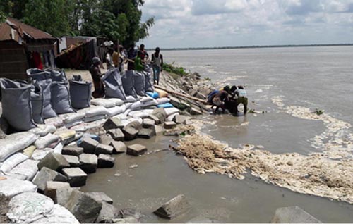 ভিটেবাড়ি হারিয়ে দিশেহারা তিস্তাপাড়ের বাসিন্দারা