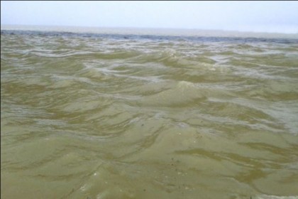 পদ্মার পানি বিপদসীমার উপরে