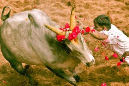 উল্লাপাড়ায় ষাঁড়ের গুঁতোয় আহত যুবকের মৃত্যু