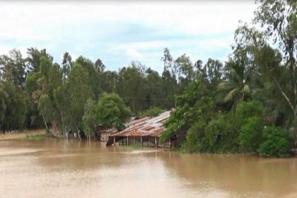 টাঙ্গাইলে পানি কমছে, তারপরও পানিবন্দী ৬০ হাজার মানুষ
