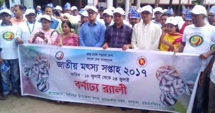 ভালুকায় মৎস্য সপ্তাহ উপলক্ষে র‌্যালি ও আলোচনা সভা