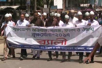 পঞ্চগড়ে বৃক্ষমেলা শুরু