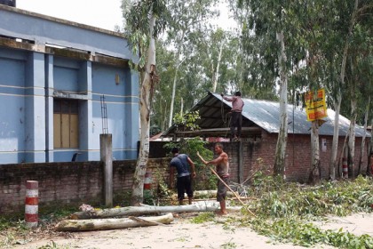 ঠাকুরগাঁওয়ে অনুমতি ছাড়াই সরকারি গাছ কর্তনের অভিযোগ 