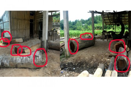 লামায় ইউএনওকে দুর্লভ চাম্পাফুল গাছ উপঢৌকন!