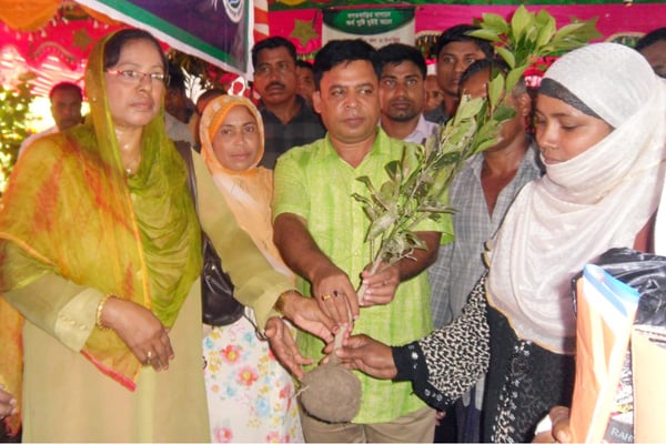 মোরেলগঞ্জে গাছের চারা দিয়ে পুরস্কৃত করা হলো ৪শ' কৃষককে