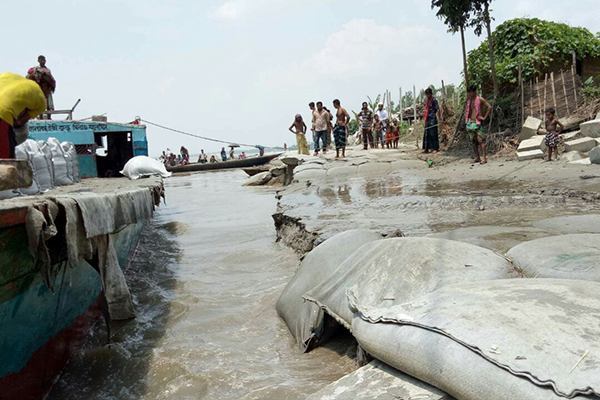 আবারও ধস চৌহালীর সেই বাঁধে