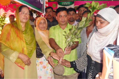 মোরেলগঞ্জে গাছের চারা দিয়ে পুরস্কৃত করা হলো ৪শ' কৃষককে