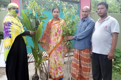 মোরেলগঞ্জে বিনামূল্যে গাছের চারা বিতরণ