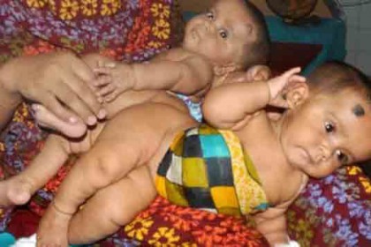 আলাদা হলো তোফা-তহুরা