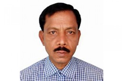 ছাগল মরার খবর শেয়ার করা সেই সাংবাদিকের জামিন