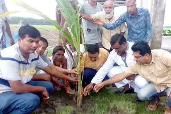 শরণখোলায় উপজেলা প্রশাসনের বৃক্ষরোপণ কর্মসূচী