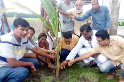 শরণখোলায় উপজেলা প্রশাসনের বৃক্ষরোপণ কর্মসূচী
