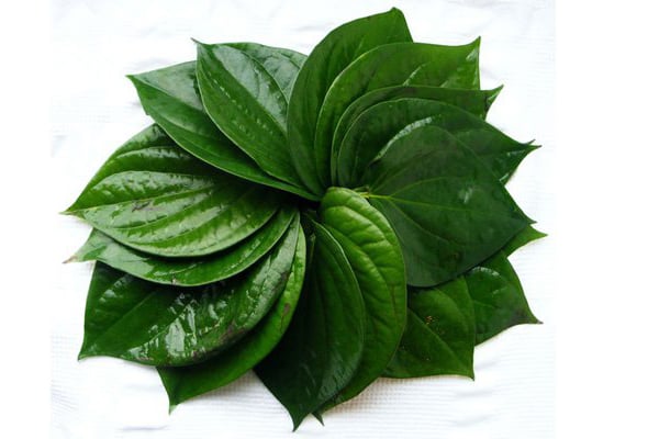 প্রতিদিন পান খেলে কী হয় জানুন