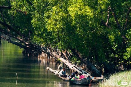 সুন্দরবনে মুক্তিপণের দাবিতে ১০ জেলে অপহরণ