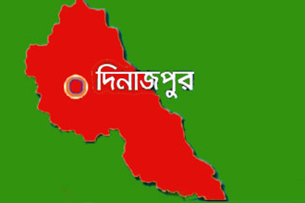 দিনাজপুরে বিদ্যুৎস্পৃষ্টে ইজিবাইক চালকের মৃত্যু