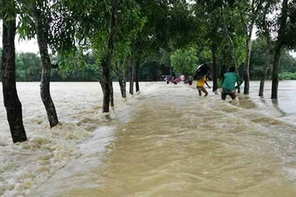 হঠাৎ করেই ১৯ জেলায় বন্যা, সড়ক-রেলপথে পানি
