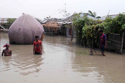 বগুড়ায় পানিবন্দী অর্ধ লক্ষাধিক মানুষ 
