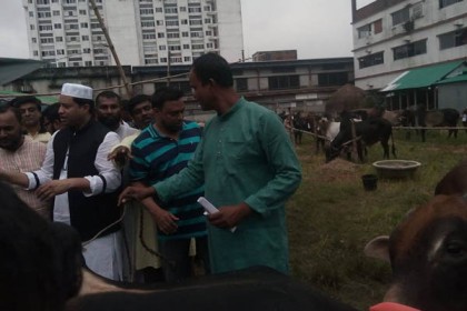 চাঁদাবাজি রোধে ৫৭টি ওয়ার্ডে গরু বিতরণ