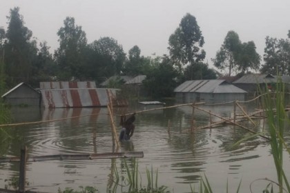 সিরাজগঞ্জে যমুনার পানি বিপদসীমার ১১১ সেমি উপরে