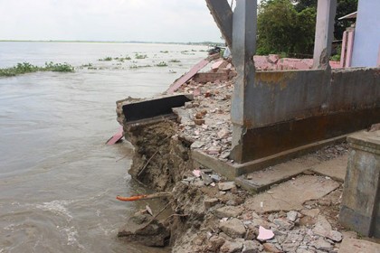 চরভদ্রাসনে পদ্মার ভাঙনে নদীগর্ভে বিলীন ২০টি বাড়ি