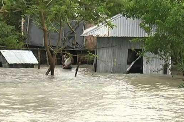 টাঙ্গাইলে বেড়িবাঁধ ভেঙে ৩০ গ্রাম প্লাবিত