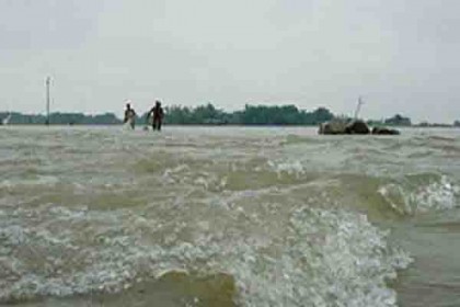 বগুড়ায় যমুনার পানি বিপদসীমার ১২৬ সেমি উপরে