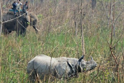 ভারতের কাছে 'গন্ডার' ফেরত চাইছে নেপাল