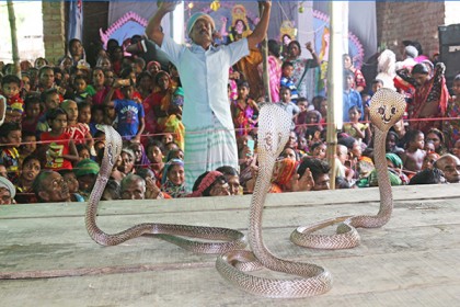 ঝিনাইদহে ঐতিহ্যবাহী ঝাপান খেলা অনুষ্ঠিত