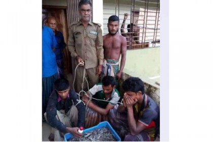 সুন্দরবনে বিষ দিয়ে মাছ নিধনের দায়ে ৩ জেলে আটক

