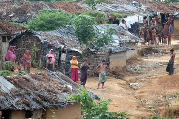 কুতুপালং শরণার্থী ক্যাম্পে বন্যহাতির তাণ্ডব, নিহত ১