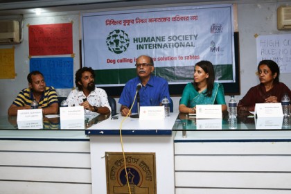 বেওয়ারিশ কুকুর হত্যা বন্ধের আহবান