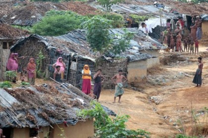 কুতুপালং শরণার্থী ক্যাম্পে বন্যহাতির তাণ্ডব, নিহত ১