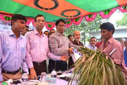 শুধু মানুষ নয়, গবাদিপশুর খাদ্যও পৌঁছে দিতে সরকার বদ্ধপরিকর
