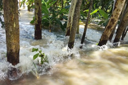 নাটোরে বন্যা পরিস্থিতির আরও অবনতি
