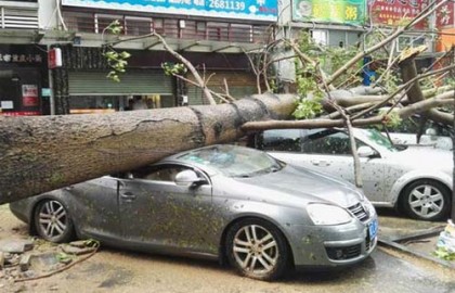 চীনে শক্তিশালী টাইফুনে ৭ জনের মৃত্যু