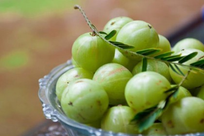 কোষ্ঠকাঠিন্য ও পাইলসের সমস্যার সমাধানে আমলকি