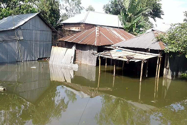 বগুড়ায় বন্যা পরিস্থিতির উন্নতি